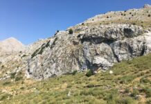 Ayazmend Beyi Aliyar Bey ve Ayazma Kapısı