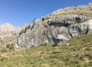 Ayazmend Beyi Aliyar Bey ve Ayazma Kapısı